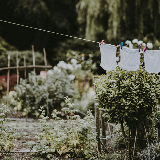 Pulizie Sostenibili di Primavera: Rinnova Casa, Mente e Energia