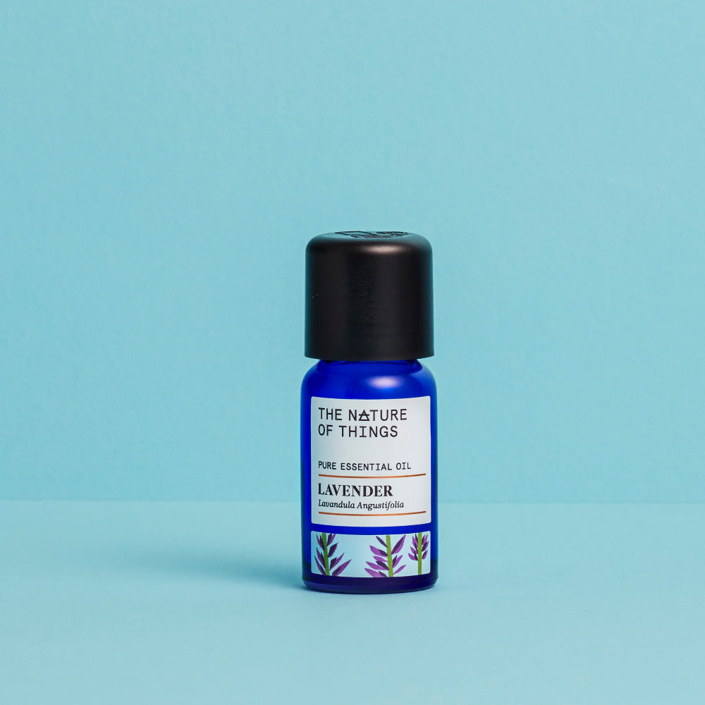 lavanda sfondo azzurro