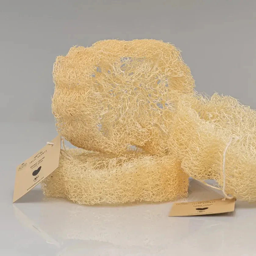 Spugna in Luffa