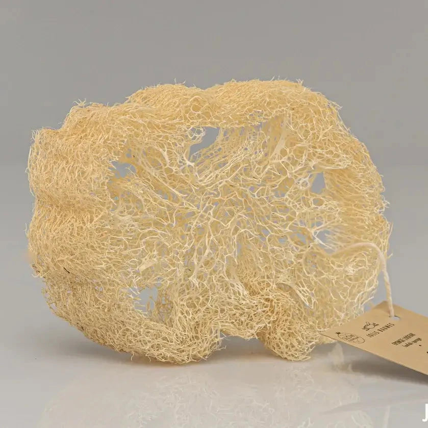 Spugna in Luffa