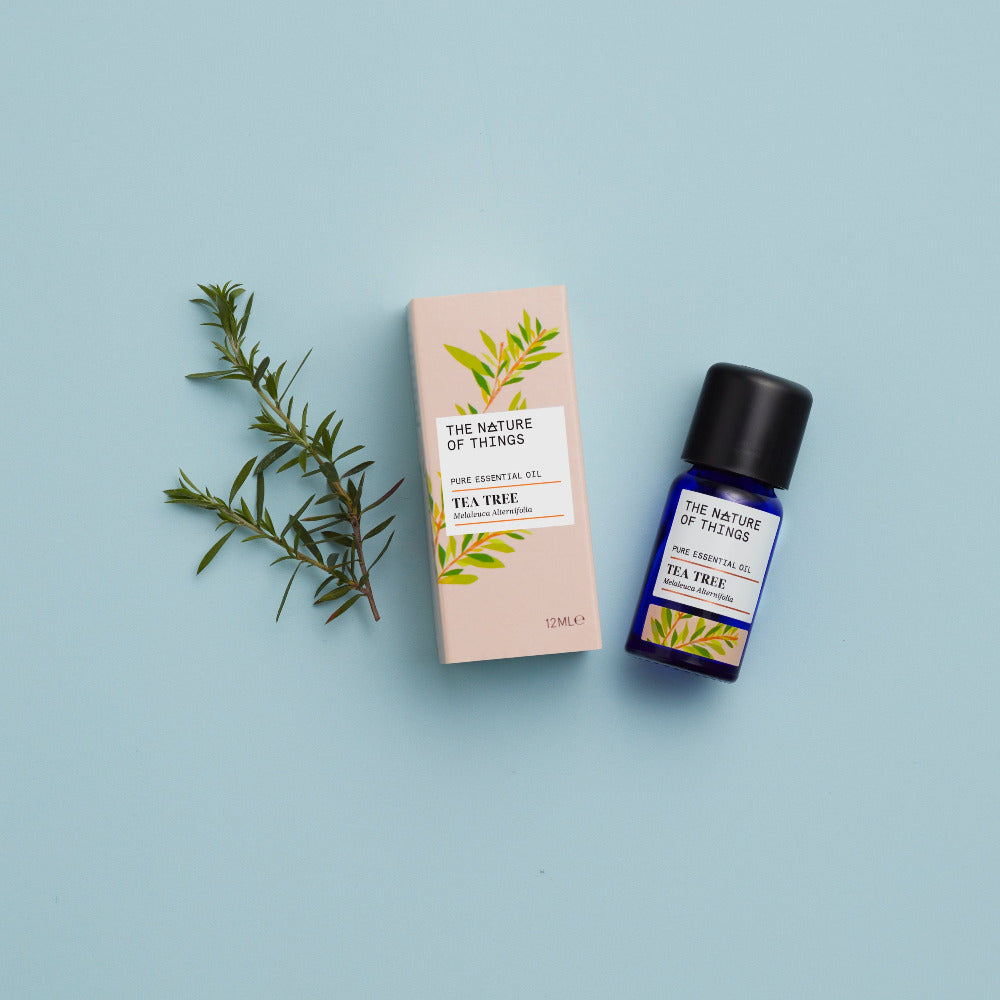 Olio Essenziale di Tea tree
