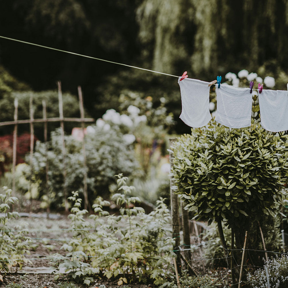 Pulizie Sostenibili di Primavera: Rinnova Casa, Mente e Energia