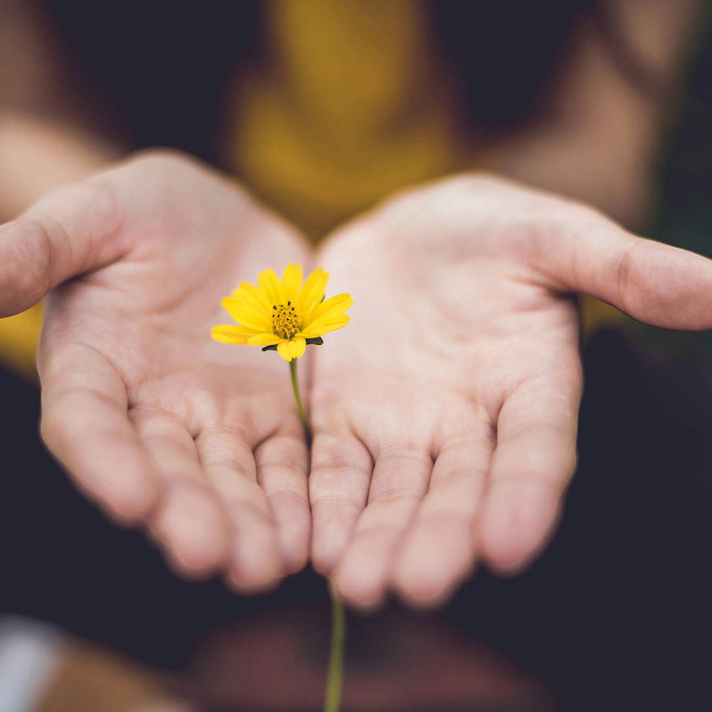 Idee Regalo per il Benessere: Piccoli Rituali per Corpo, Mente e Spirito