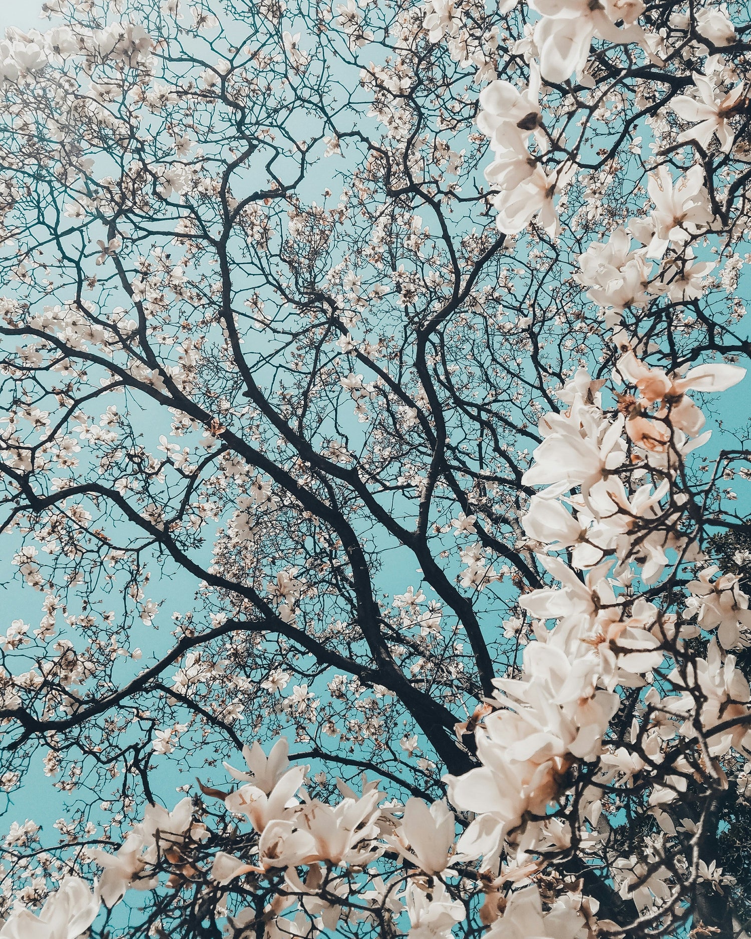 Sconti di Primavera