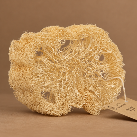 Spugna in Luffa
