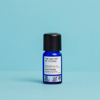 lavanda sfondo azzurro